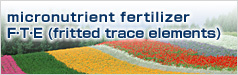 Micronutrient Fertilizer F·T·E